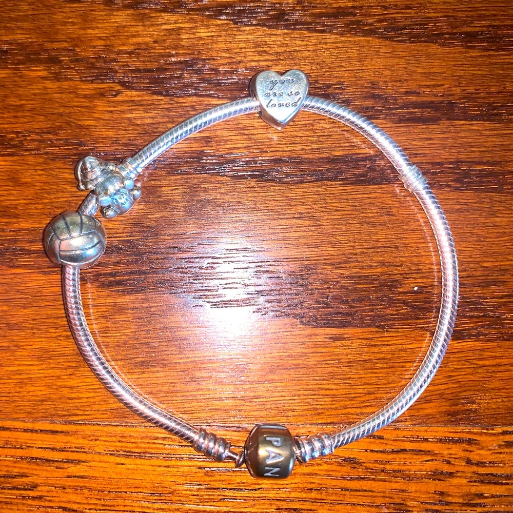 Pandora moments snake chain bracelet